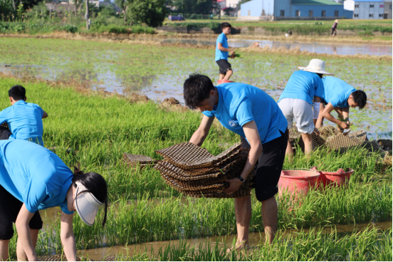 0b581d9f993e4bb4b018e28c553e6169.png image.png