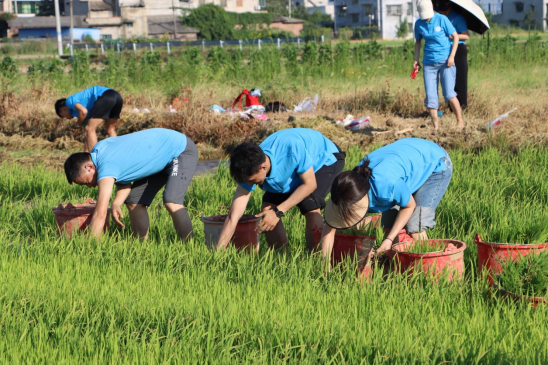 c0ce38ba5c084452b6b7e73c26963834.png image.png