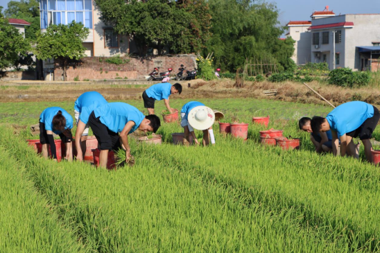 c97959f3832d45e2b19d45eda6ebb902.png image.png