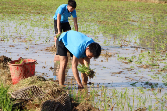 f016e263b71e4c25b80d016fce40d5fa.png image.png