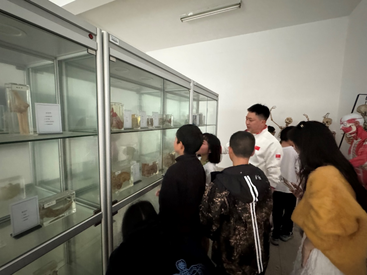 7e7684d01beb405fbebfa53e4659ebf3.png 7e7684d01beb405fbebfa53e4659ebf3.png